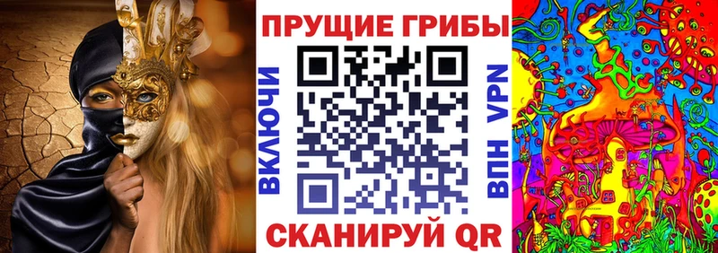 Псилоцибиновые грибы мицелий Волжск